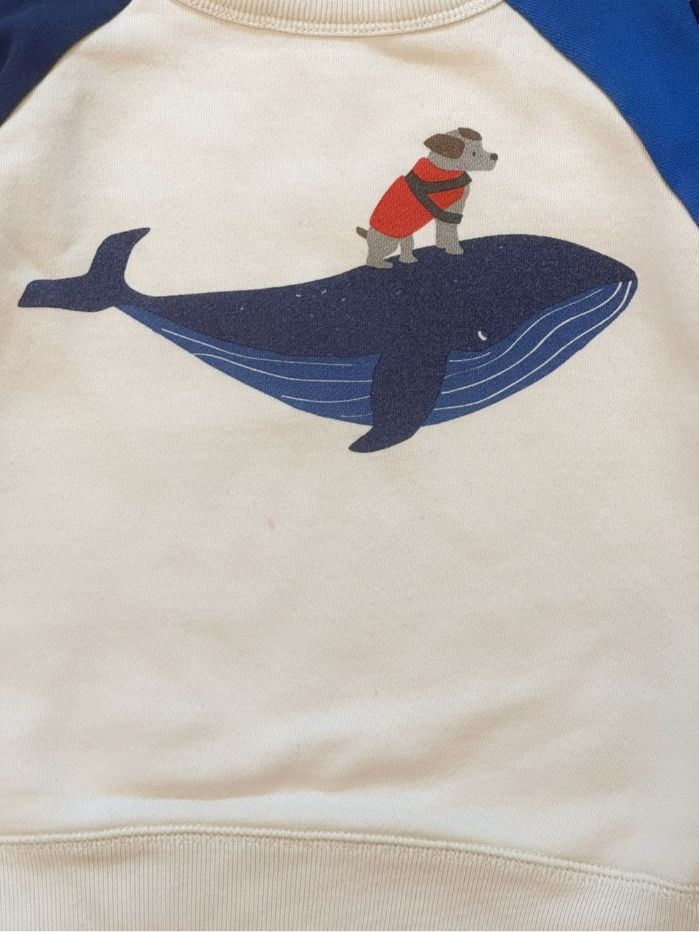 Mini Boden | Dog Riding Whale Colorblock Raglan Sweatshirt (4-5) - Picture 5 of 5